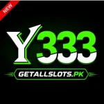 Y333 Game 2026 game modes bonuses referrals and withdrawals